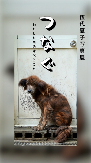 伍代夏子　写真展『つなぐ〜わたしたちのすべきこと〜』開催